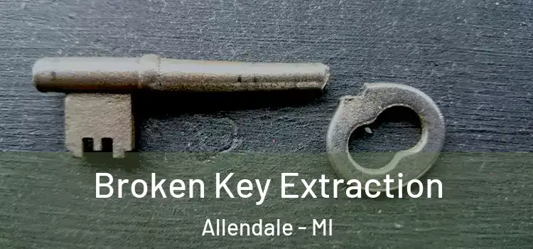  Broken Key Extraction Allendale - MI