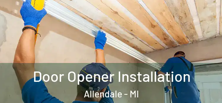  Door Opener Installation Allendale - MI