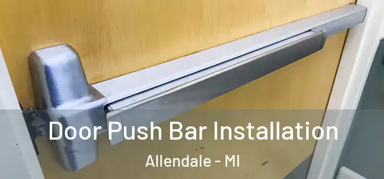 Door Push Bar Installation Allendale - MI