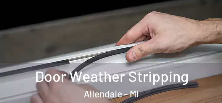  Door Weather Stripping Allendale - MI