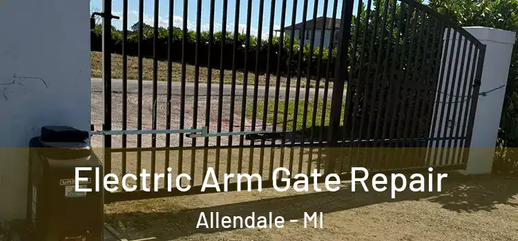  Electric Arm Gate Repair Allendale - MI