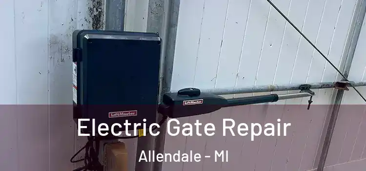  Electric Gate Repair Allendale - MI