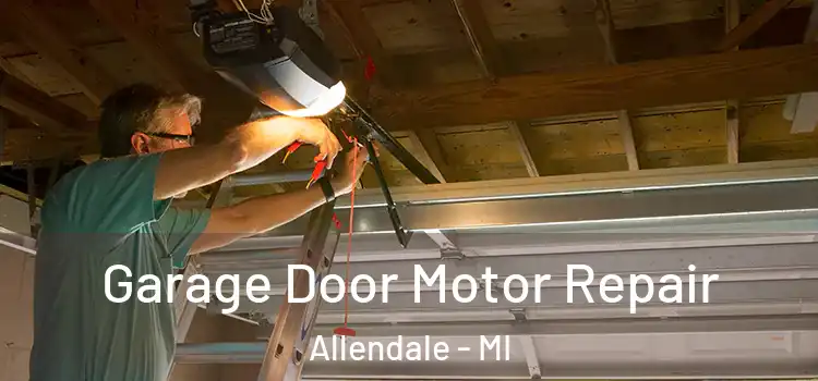  Garage Door Motor Repair Allendale - MI