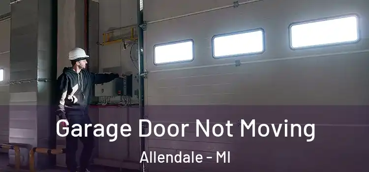  Garage Door Not Moving Allendale - MI