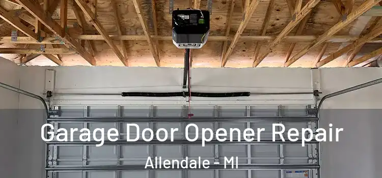  Garage Door Opener Repair Allendale - MI