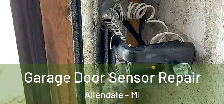  Garage Door Sensor Repair Allendale - MI