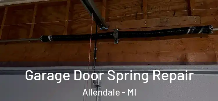  Garage Door Spring Repair Allendale - MI