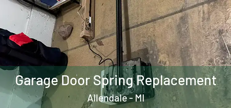  Garage Door Spring Replacement Allendale - MI