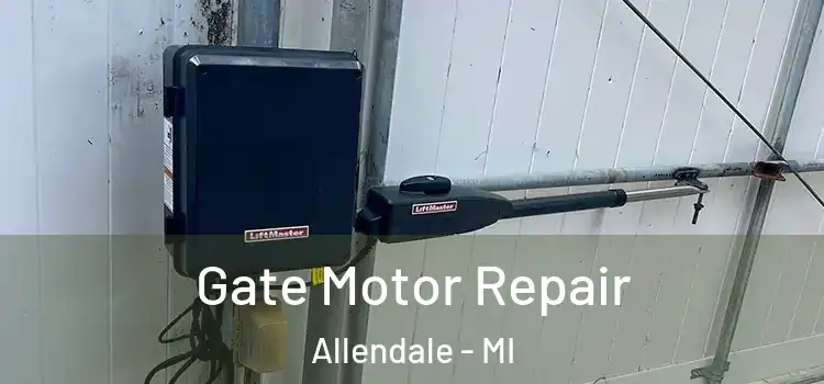  Gate Motor Repair Allendale - MI