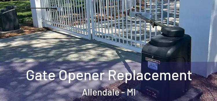  Gate Opener Replacement Allendale - MI