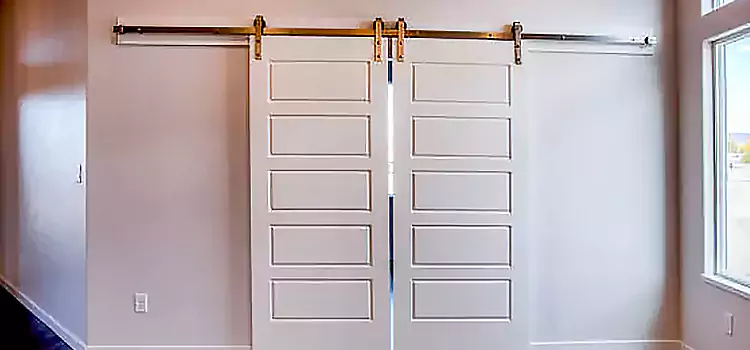 Glass Barn Door with Installation Hardware Kit Allendale