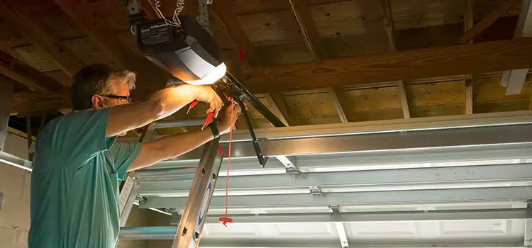 Garage Door Opener Sales and Installation Allendale