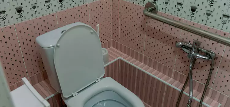 Meeting Diverse Needs With Accessible Restroom Solutions in Allendale, MI