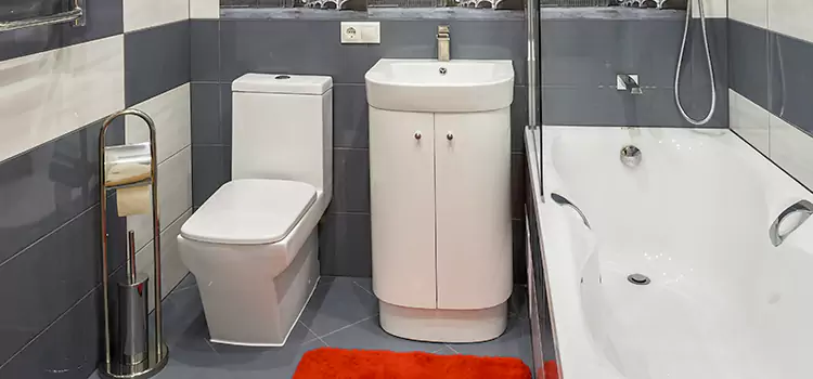 Hansgrohe Shaving Mirror Allendale