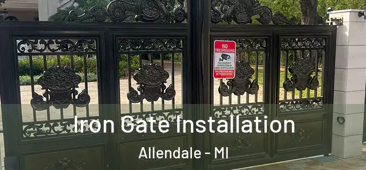 Iron Gate Installation Allendale - MI