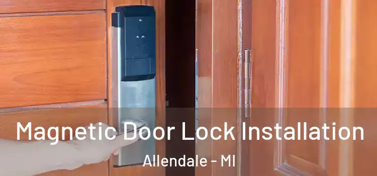  Magnetic Door Lock Installation Allendale - MI
