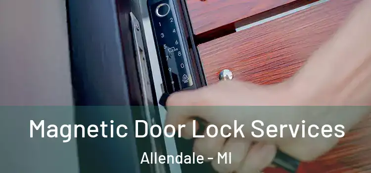  Magnetic Door Lock Services Allendale - MI