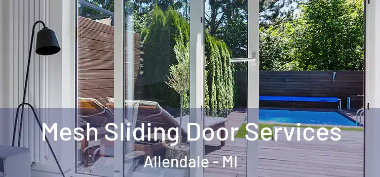  Mesh Sliding Door Services Allendale - MI