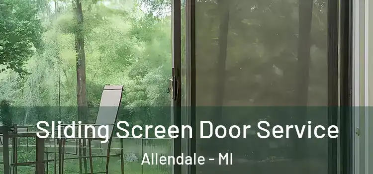  Sliding Screen Door Service Allendale - MI